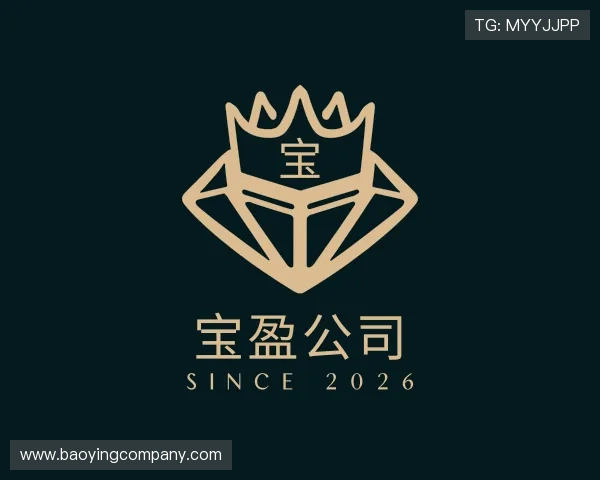 介绍宝盈公司